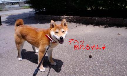 ほめられた♪