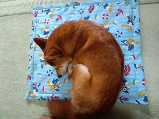 2011.6.5-1.JPG