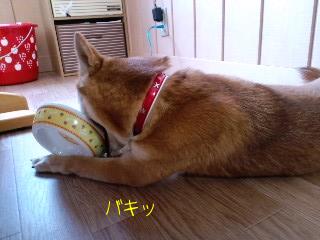 2011.4.1-4.JPG