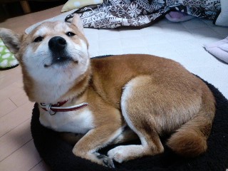 2011.2.3-2.JPG
