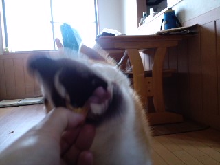2011.7.17-5.JPG
