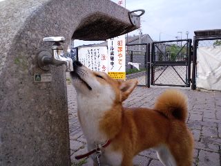 2011.5.21-1.JPG