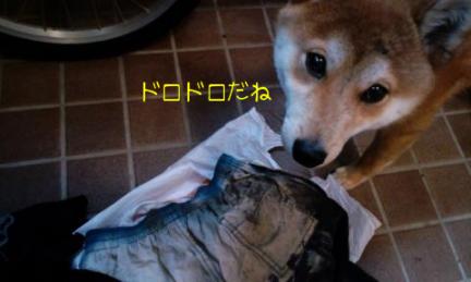 ドロドロ