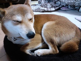 2011.2.3-3.JPG