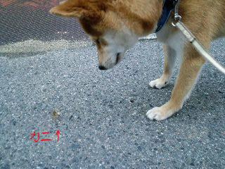 2011.7.16-2.JPG