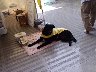 2011.7.17-7.JPG
