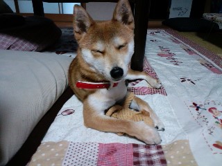2011.3.11-2.JPG