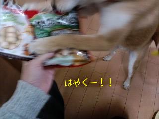 2011.1.5-2.JPG