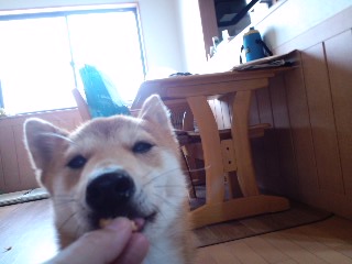 2011.7.17-6.JPG