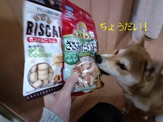 2011.1.5-4.JPG