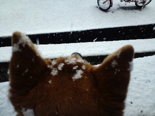 2011.2.16-2.JPG