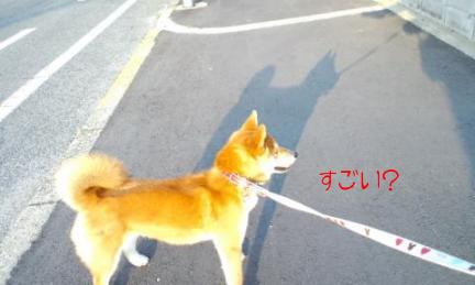 影分身の術