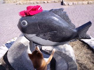 2011.2.18-2.JPG