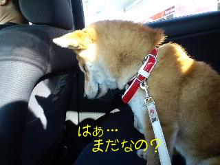 まだ？