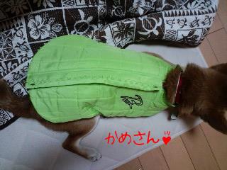 2010.12.31-5.JPG
