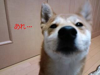 2011.3.12-3.JPG