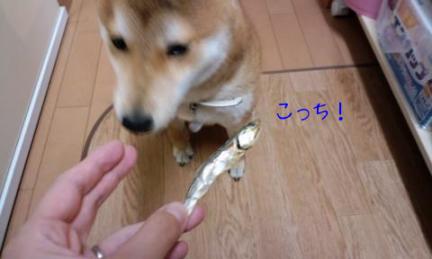 こっち