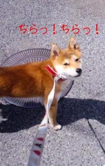 2010-04-14 13:34:37