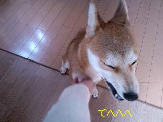 PA0_0403.JPG
