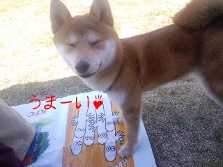 うまい♪