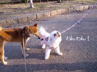 2011.3.9-2.JPG