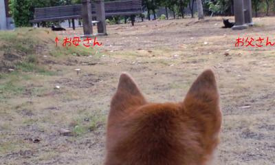 公園３