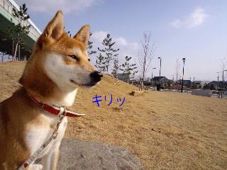2011.3.24-4.JPG