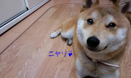 ニヤリ