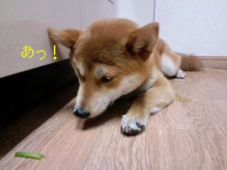 はらぺこ２