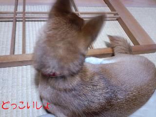 2010.12.13-2.JPG