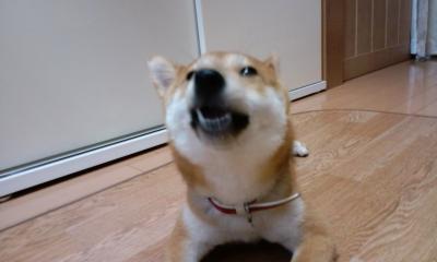 ごめんなさい２