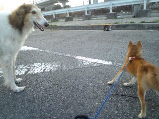 2011.2.28-5.JPG