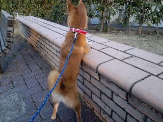 2011.4.14-2.JPG