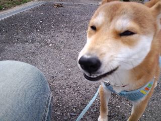 2011.1.15-4.JPG