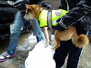 2011.2.13-1.JPG