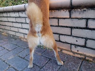 2011.4.14-4.JPG