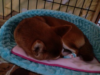2011.3.17-4.JPG