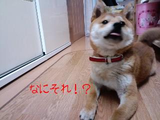 おどろき
