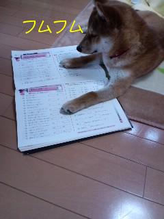 勉強１
