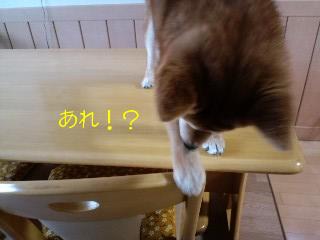 おかえり３