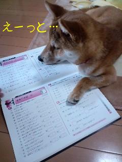 勉強２