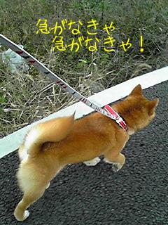 急げ急げ