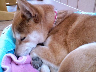 2011.5.19-2.JPG