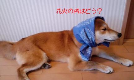 てぬぐい３