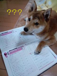 ？？？