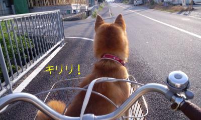 自転車３