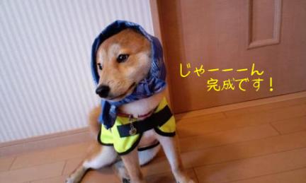 てぬぐい４