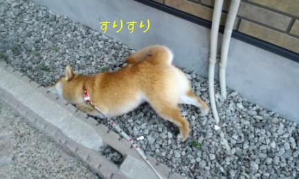 仕上げ