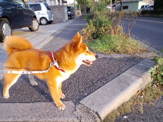 2010.6.2-5.JPG