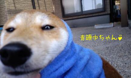 青頭巾ちゃん